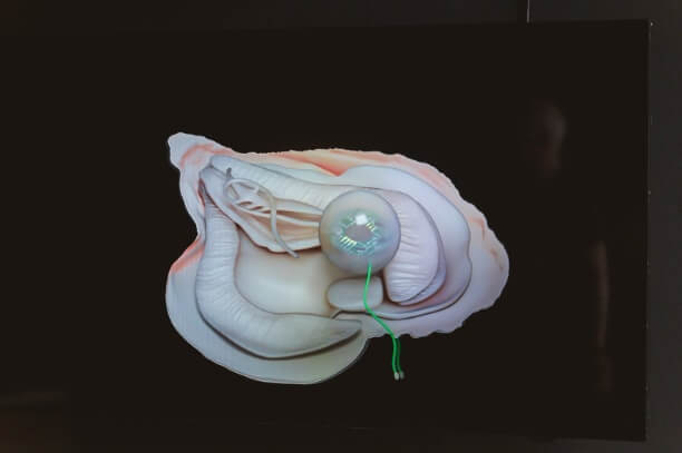 Caption: Aquadisia, Stephanie Rothenberg. 